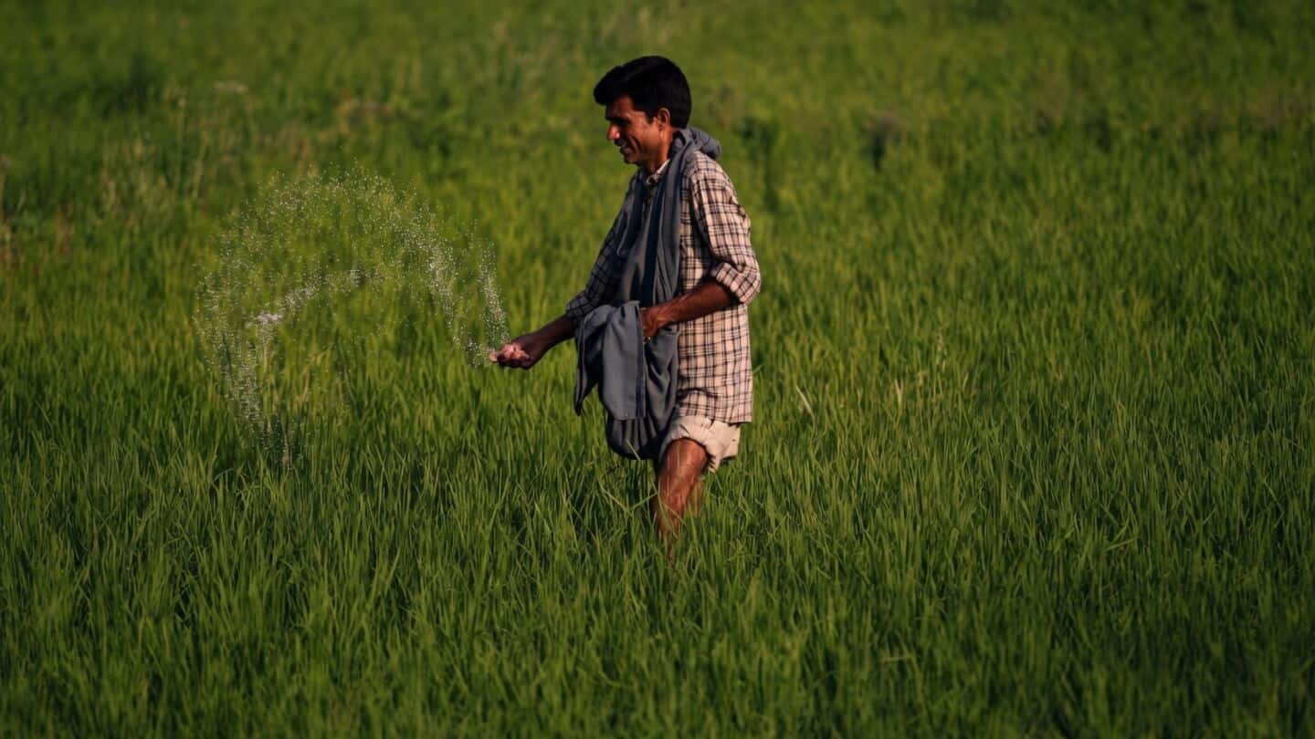 India keeps fertilizer reserves steady despite West Asia conflict