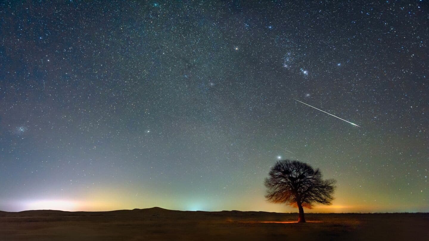 Last meteor shower of 2025: When and how to watch Ursids