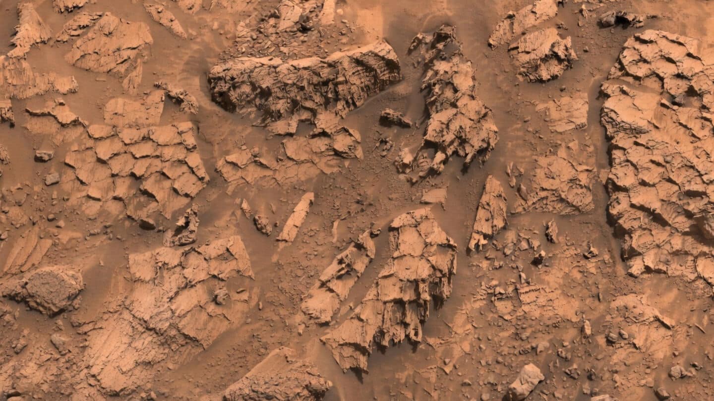 NASA's Curiosity rover photographs polygonal reptile-scale rocks near Antofagasta crater