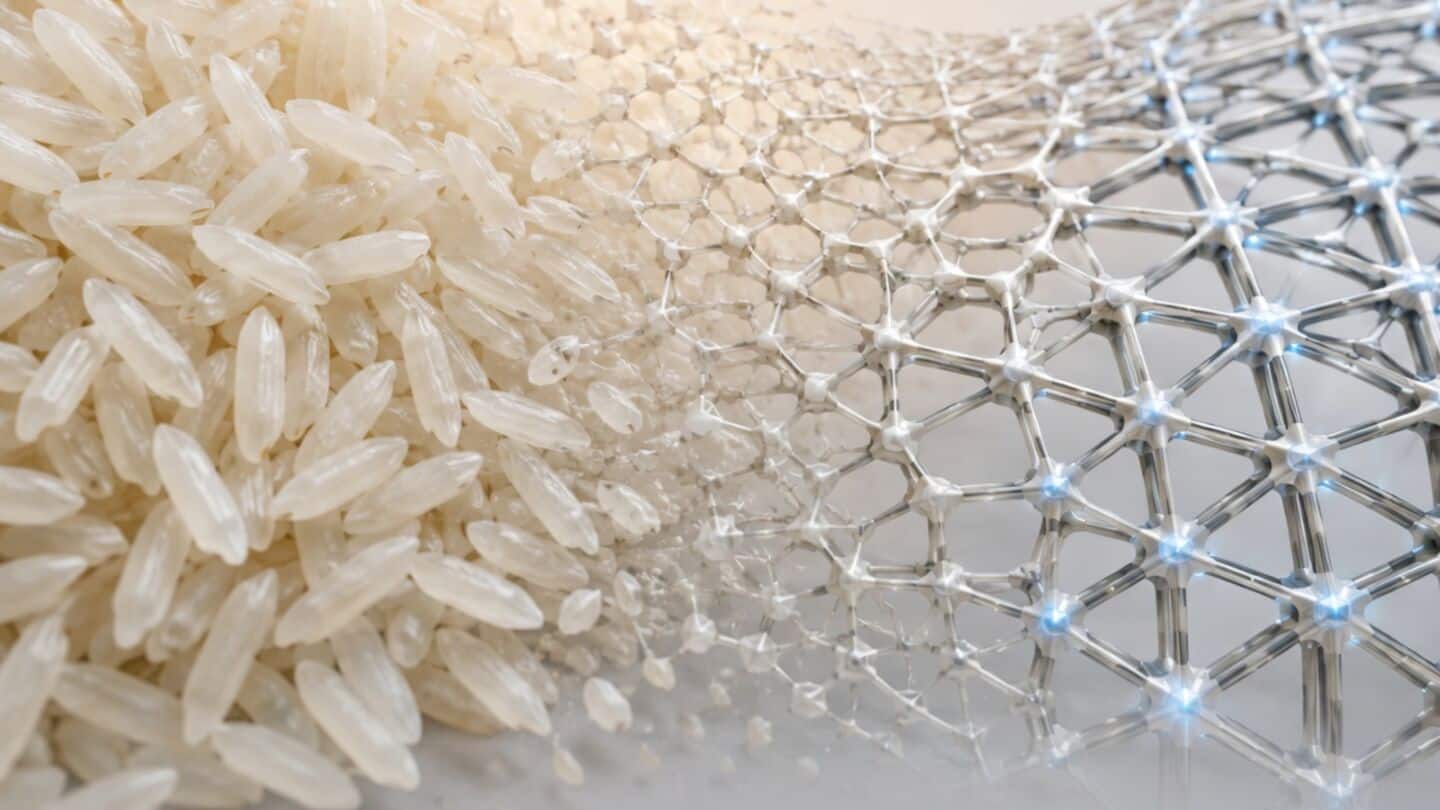 University of Birmingham scientists find rice weakens when squeezed quickly