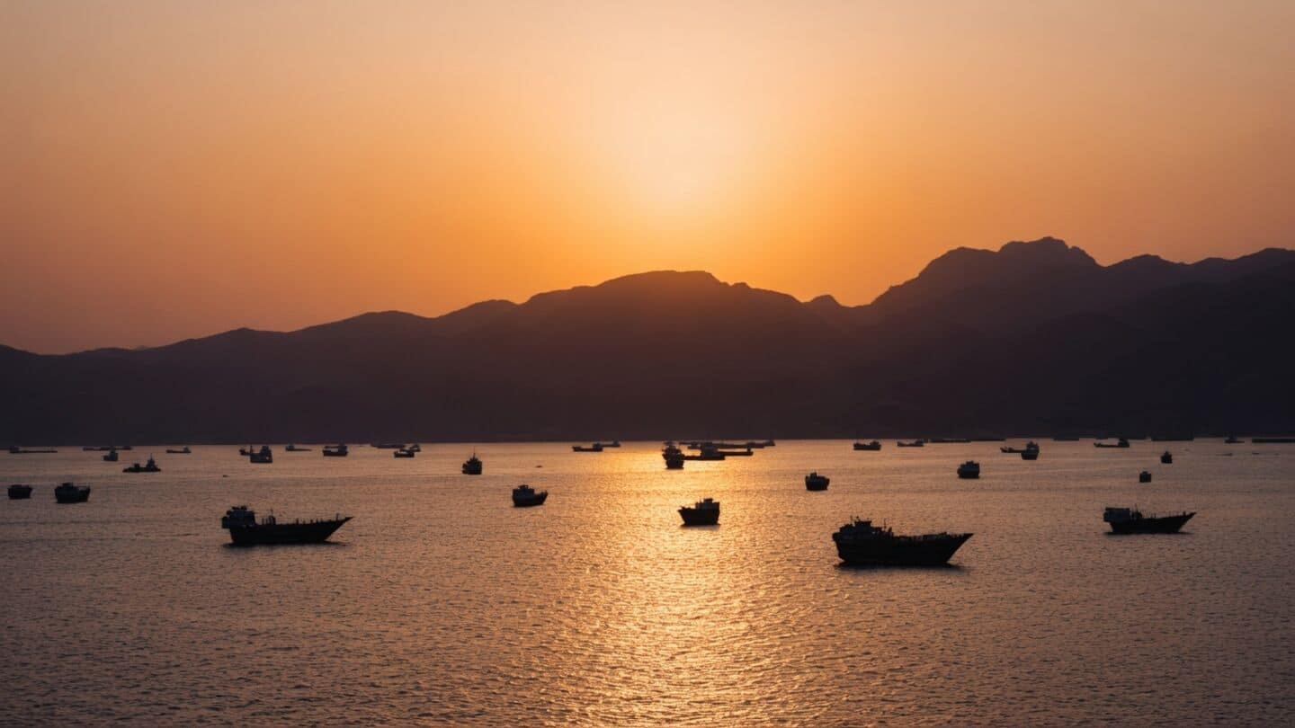 DGS lifts ban allowing Indian ships back into Gulf waters