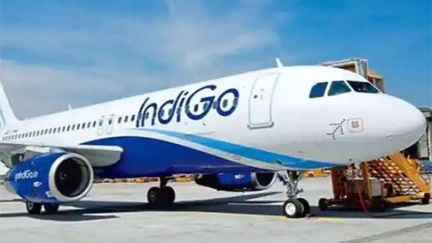IndiGo's stock plunges nearly 7% after flight delays and cancelations