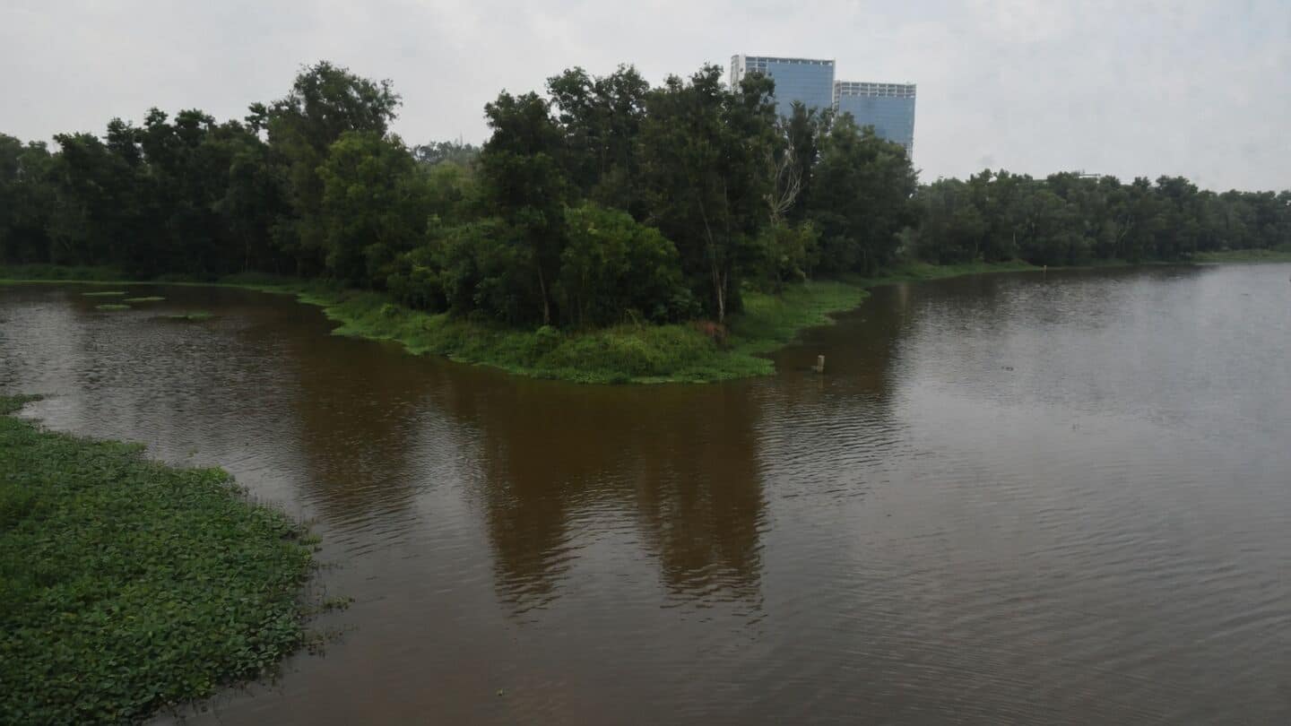 Kerala Pollution Control Board finds sewage contamination in Kadambrayar river