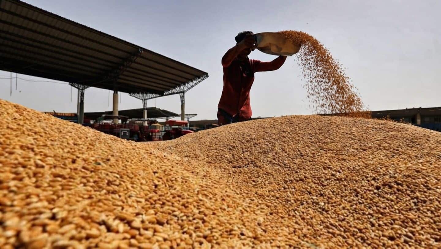FCI proposes easing wheat standards for 2026-27 after Punjab rains