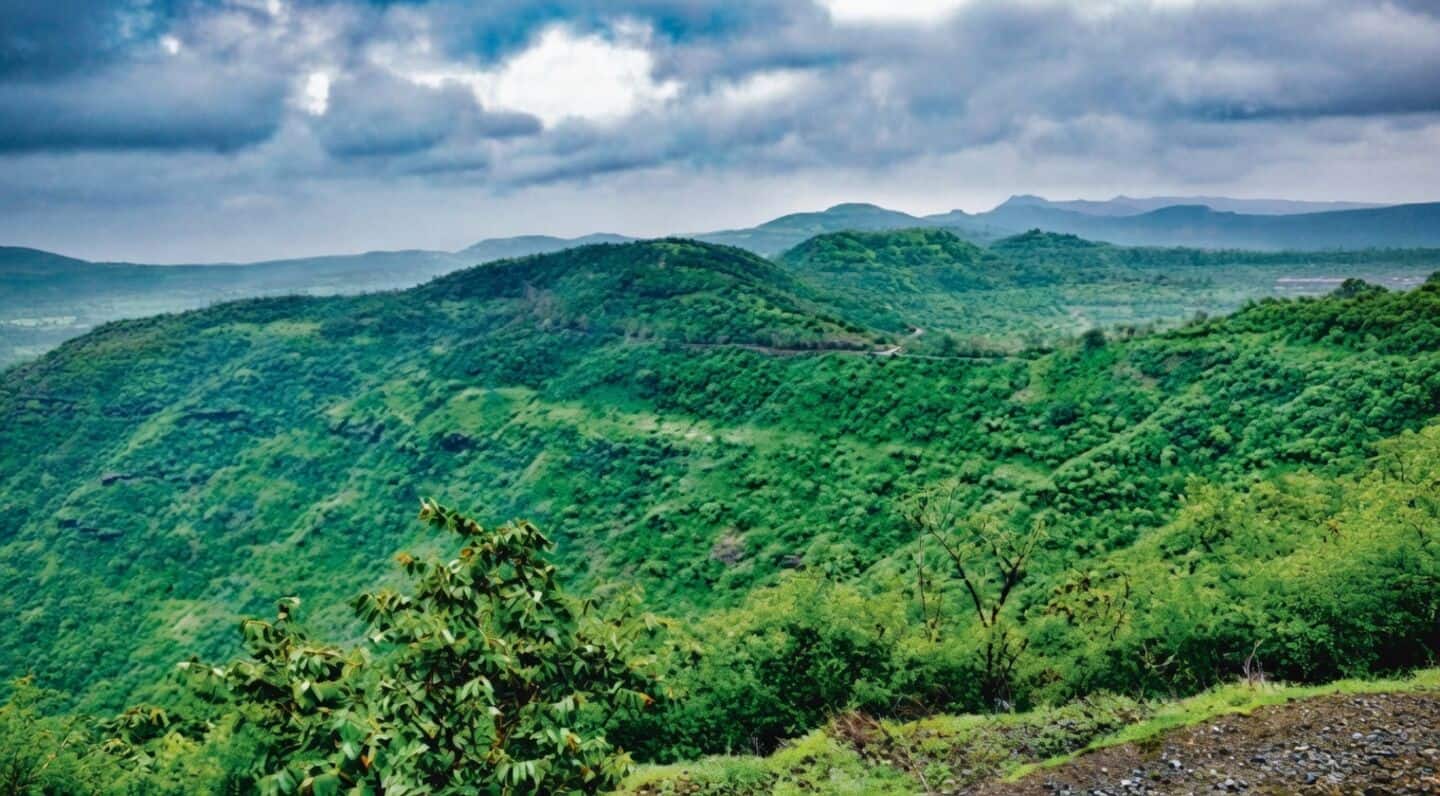 IITM climate study: Western Ghats may absorb CO2 by 2100