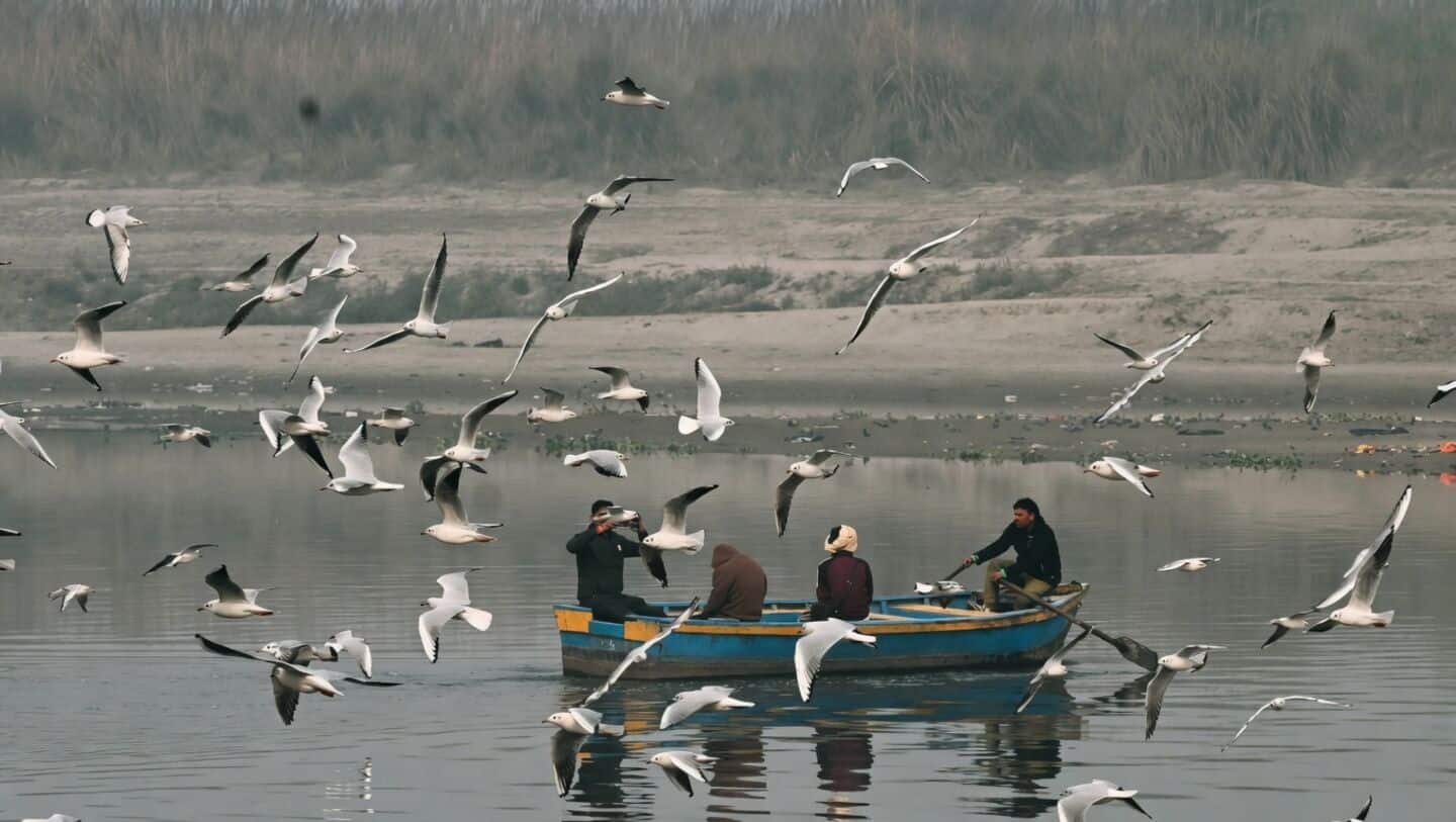 Supreme Court names committee to tackle Yamuna pollution in Delhi