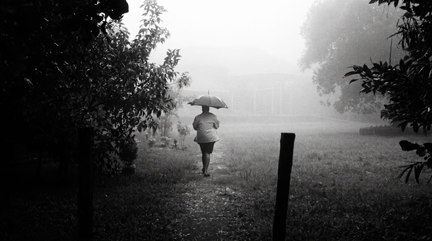 अगले कुछ दिन रहें सावधान! IMD की चेतावनी: इन राज्यों में भारी बारिश, तूफान और बर्फबारी