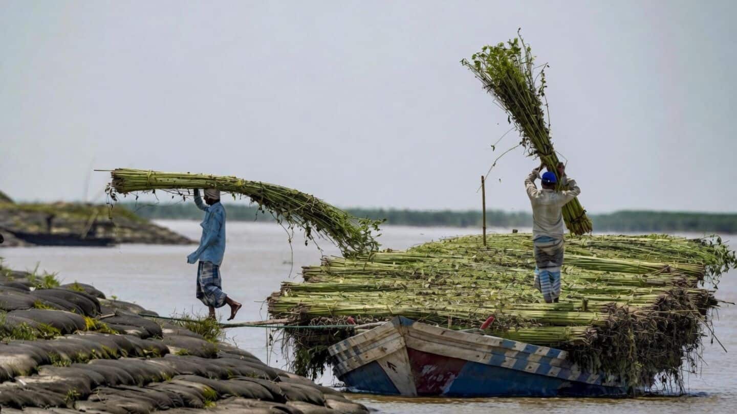 Assam government sends ₹15,000 to 62,696 flood-hit families for cleanup