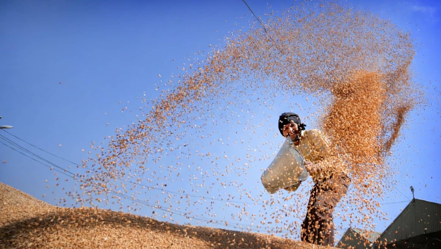 IMD issues early heat wave alert for Punjab and Haryana