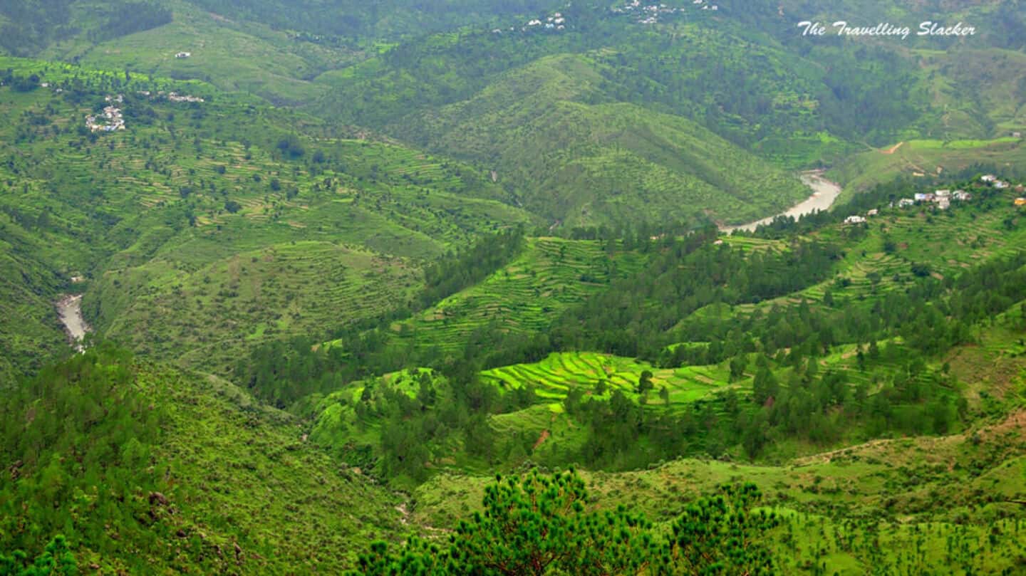 India lost 18 times more forest than gained: Study