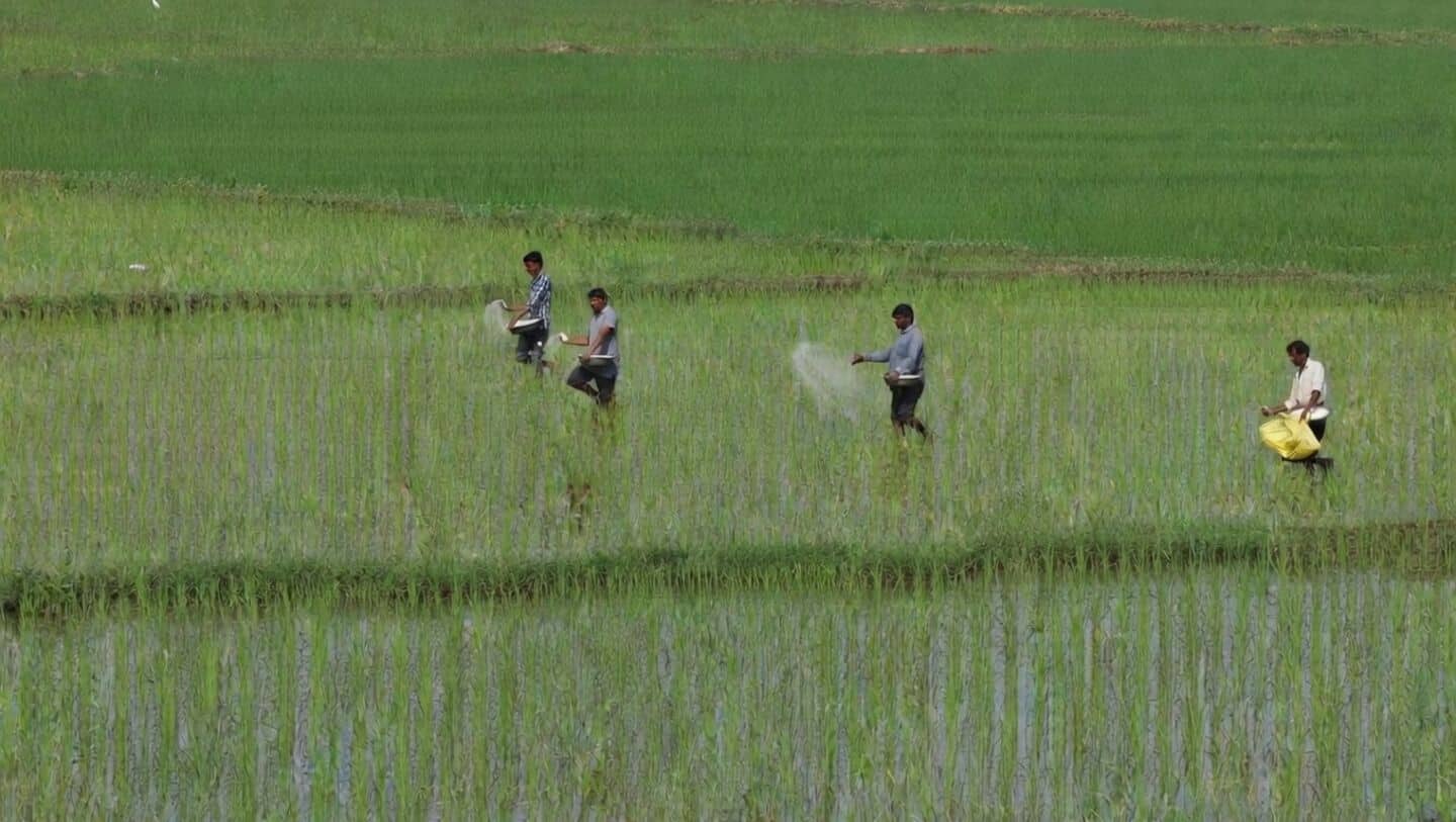 India boosts fertilizer imports amid West Asia tensions