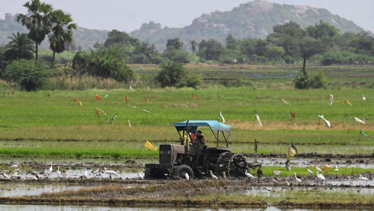 India sets 373.93 million tons food grain crop-year target