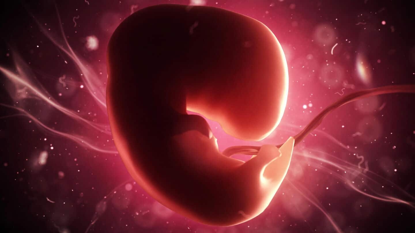 Chinese researchers create 'disc-Gastruloids' to study early organ development