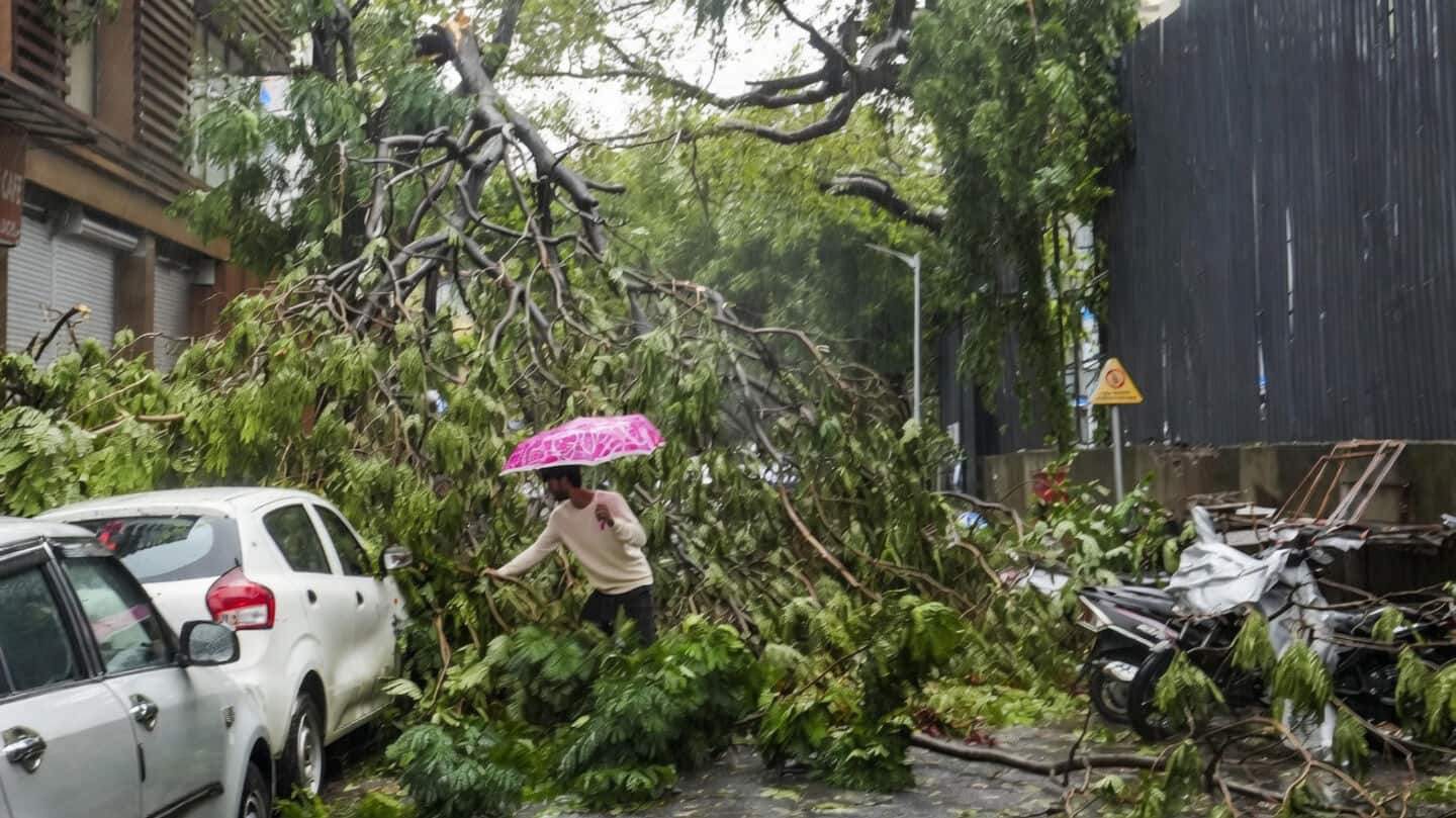 IMD warns as Mumbai records over 1,000mm rain, 8 dead