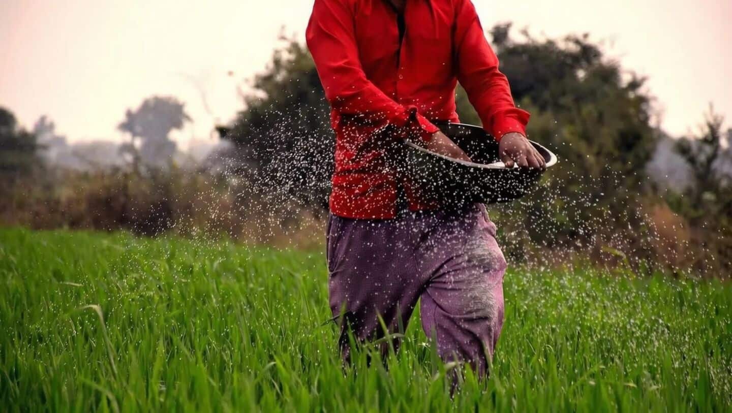 ITCMAARS rolls out 'Crop Doctor' AI pest-disease identification tool