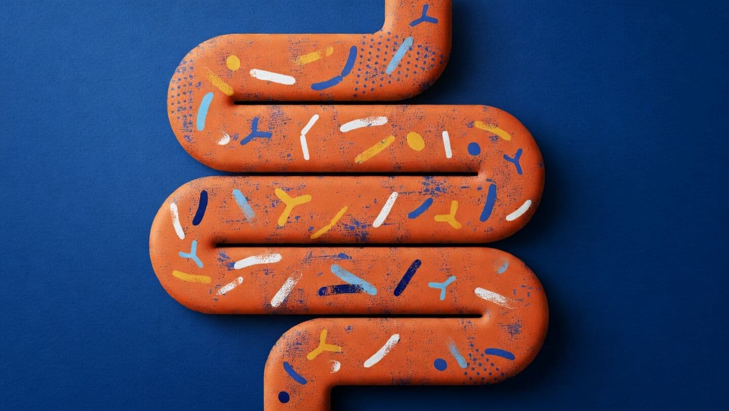 This gut microbe could be behind memory loss in mice