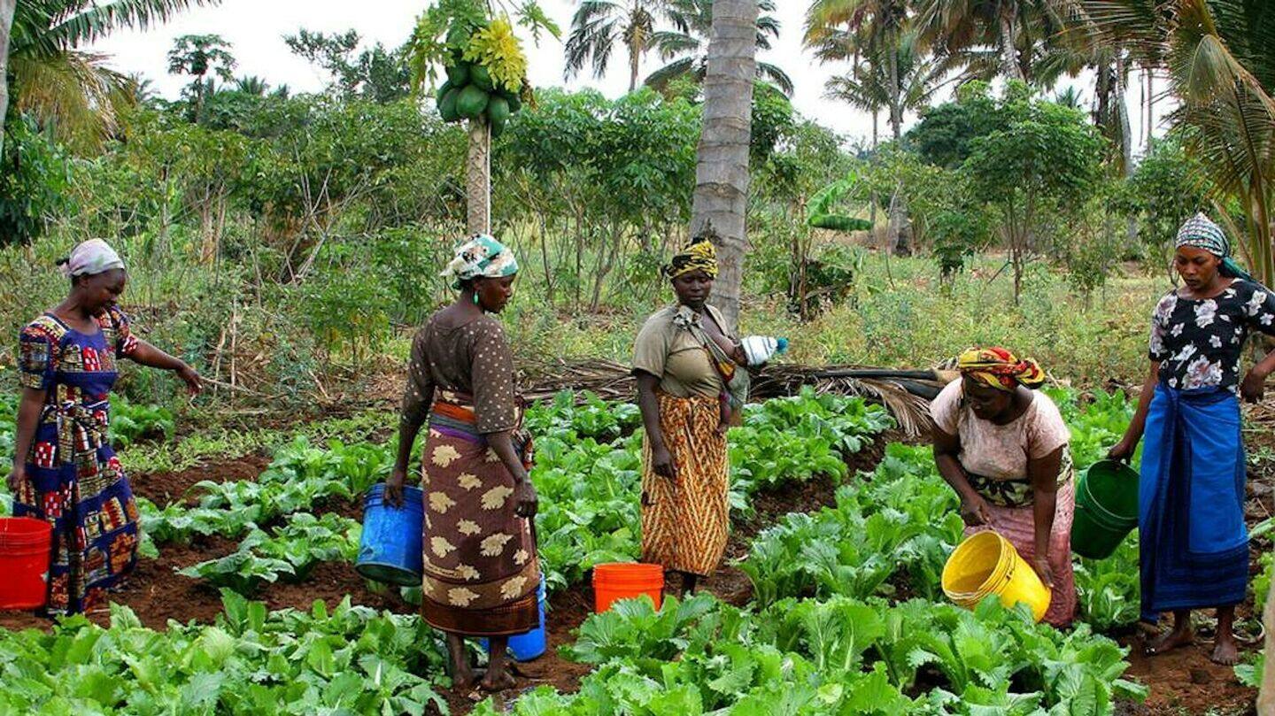 Rajasthan: Farmer killed for opposing deer poaching; 3 arrested