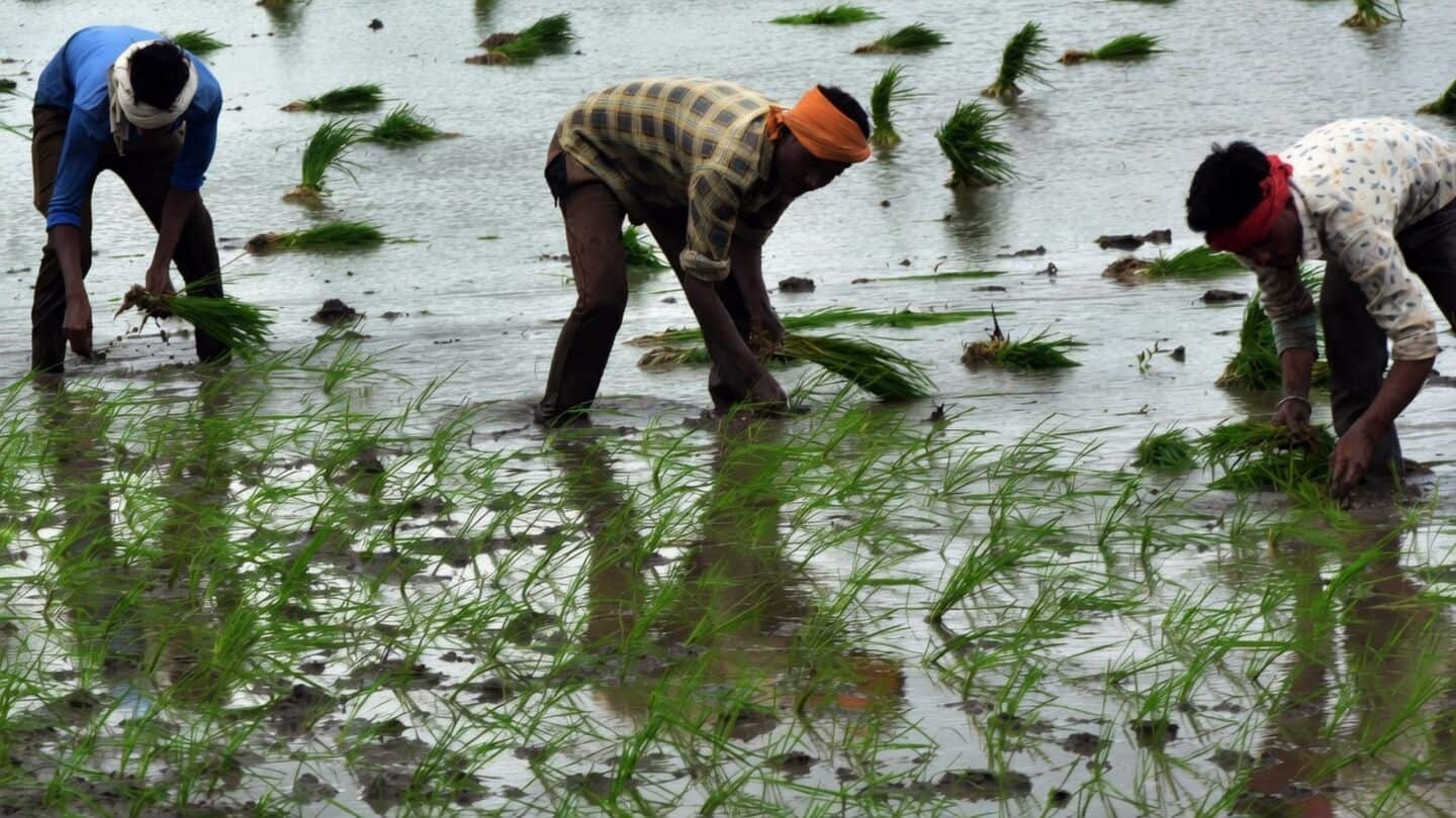Government extends PM-KISAN to 2030-31 with ₹3,15,614cr backing for farmers