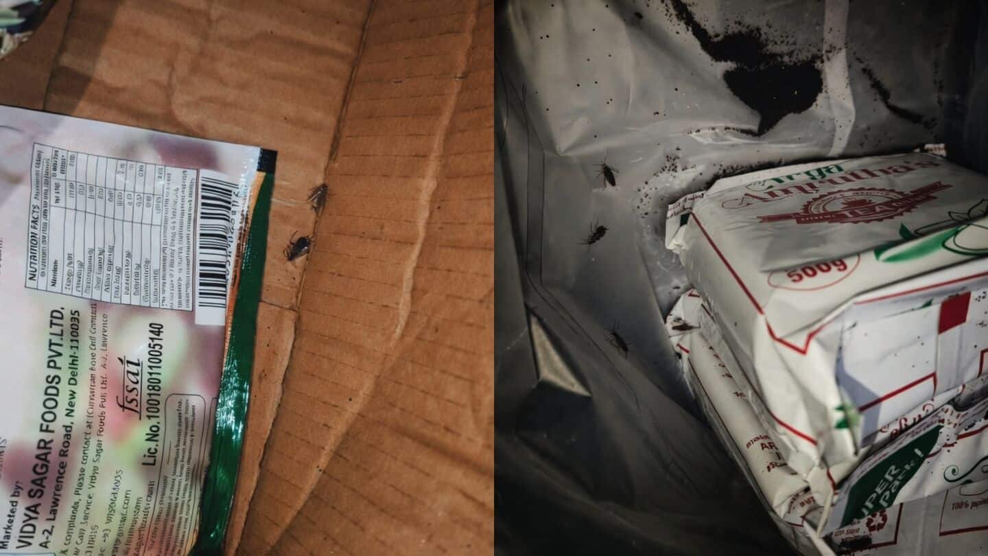 Bengaluru FDA inspects clubs, finds cockroaches and KSCA hygiene issues