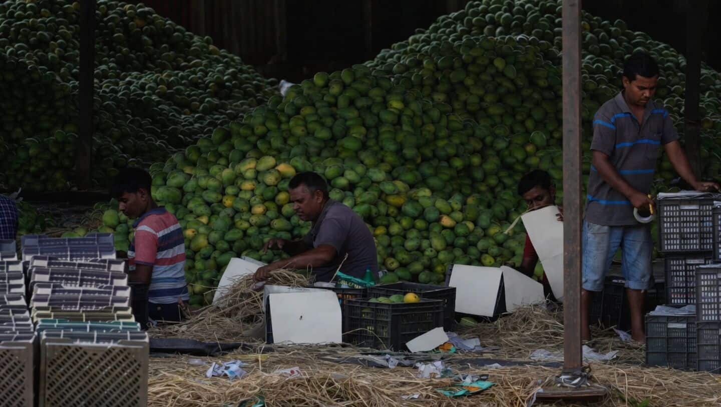 India launches 1st-ever Producer Price Index to track inflation