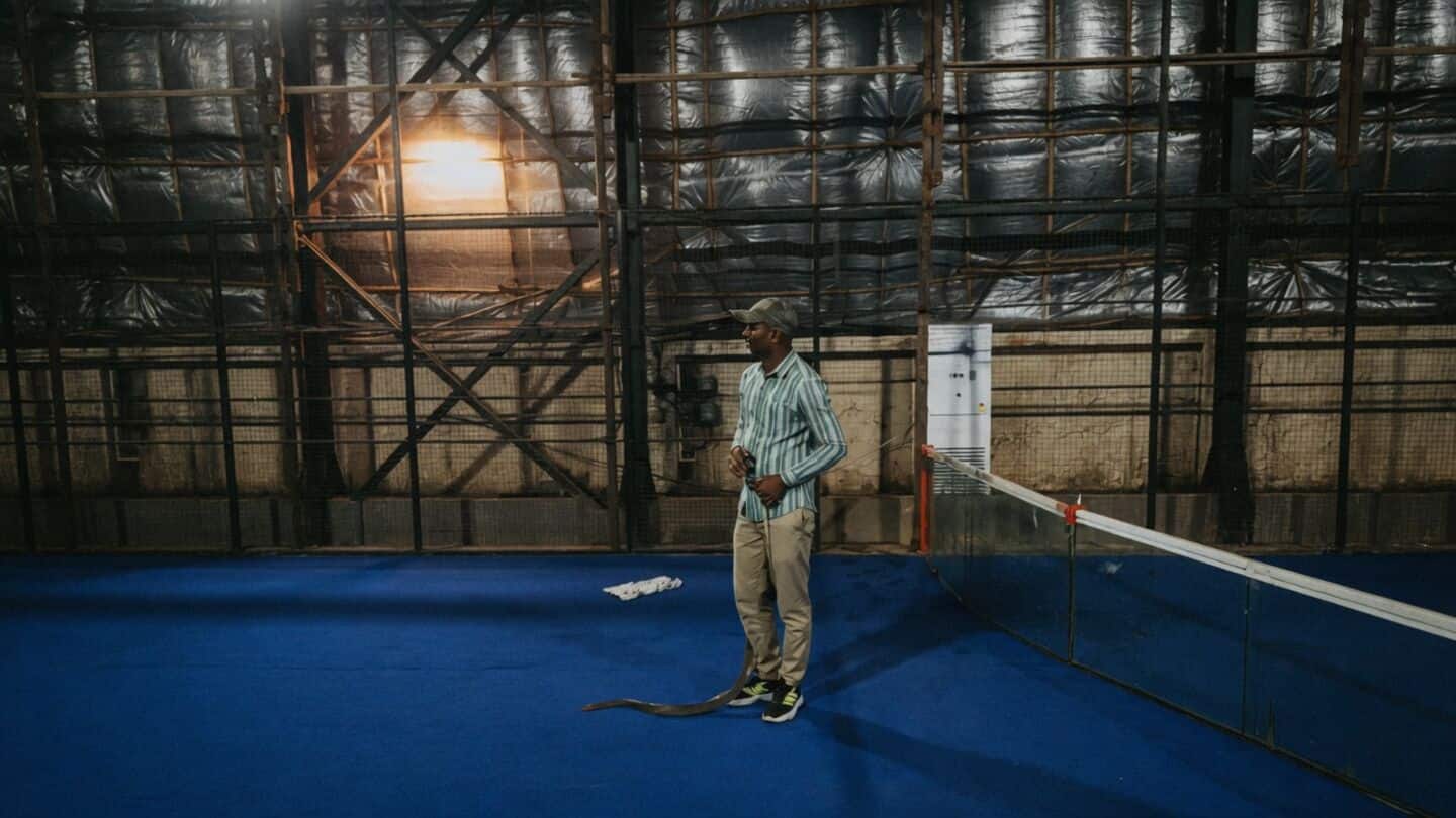 Eight foot rat snake spotted at Khan's Mannat Bandra West