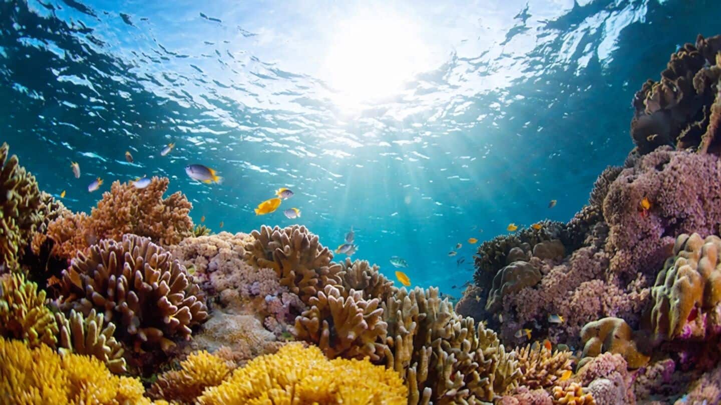 Governments set to miss U.N. '30 by 30' conservation target
