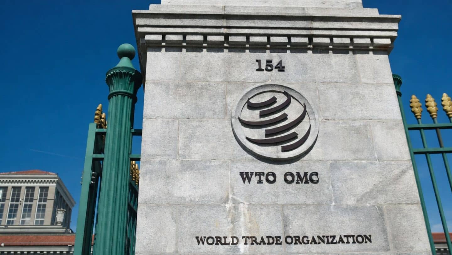 WTO takes step on digital trade, India blocks full deal
