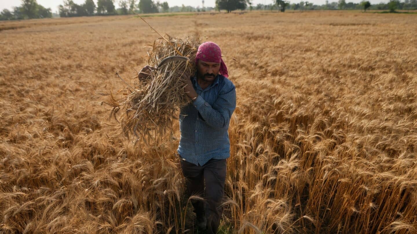 El Nino may cut India monsoon to about 90% rainfall