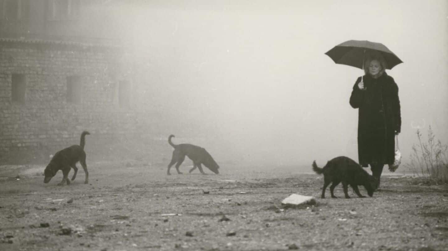 Hungarian director Bela Tarr dies at 70