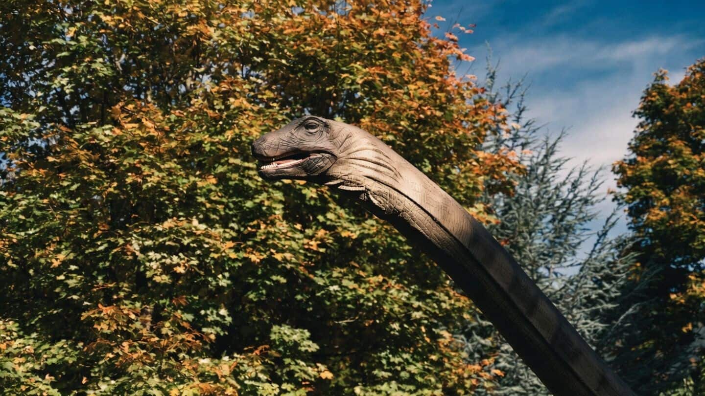 Multinational team uncovers Musango matusadonaensis near Lake Kariba in 2018
