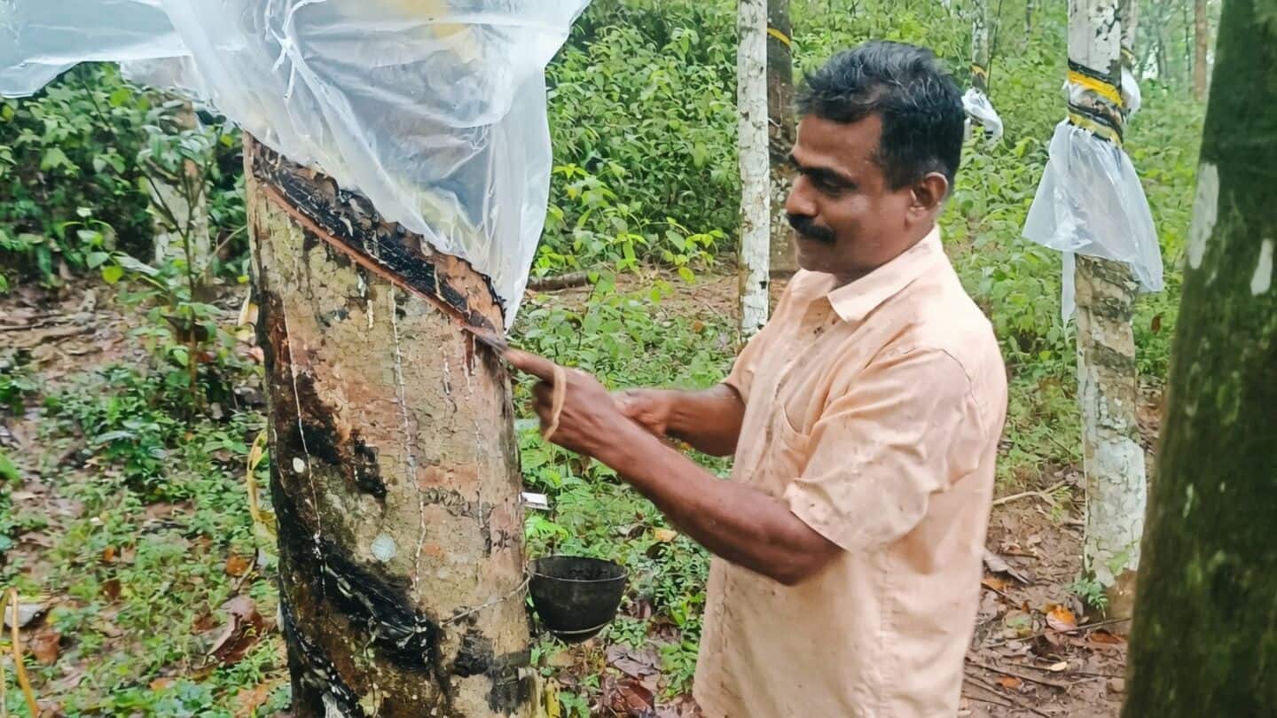 Natural rubber prices in India hit ₹267 per kg