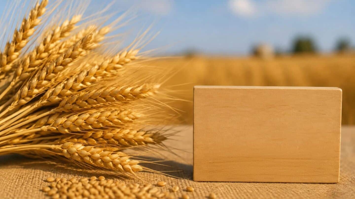 India's DGFT ends ban on durum and other wheat exports