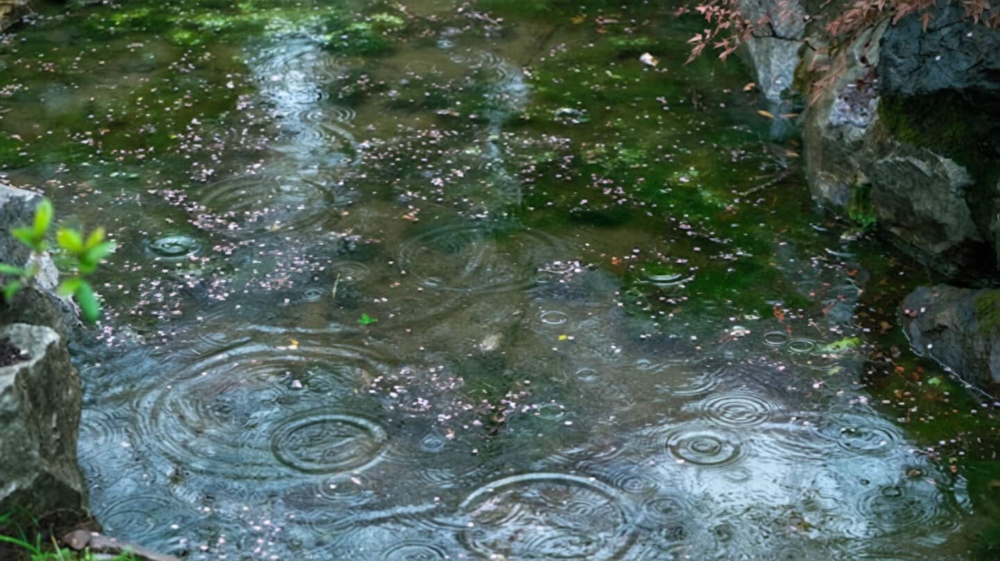 Western disturbance brings storms, Kerala monsoon in 2-3 days