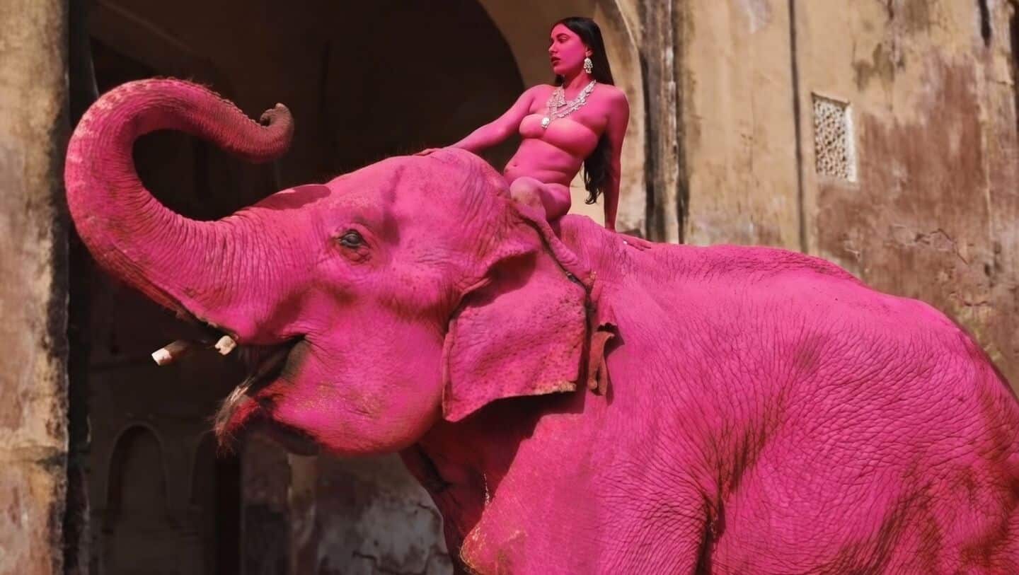 Viral video of Chanchal elephant painted pink raises welfare questions