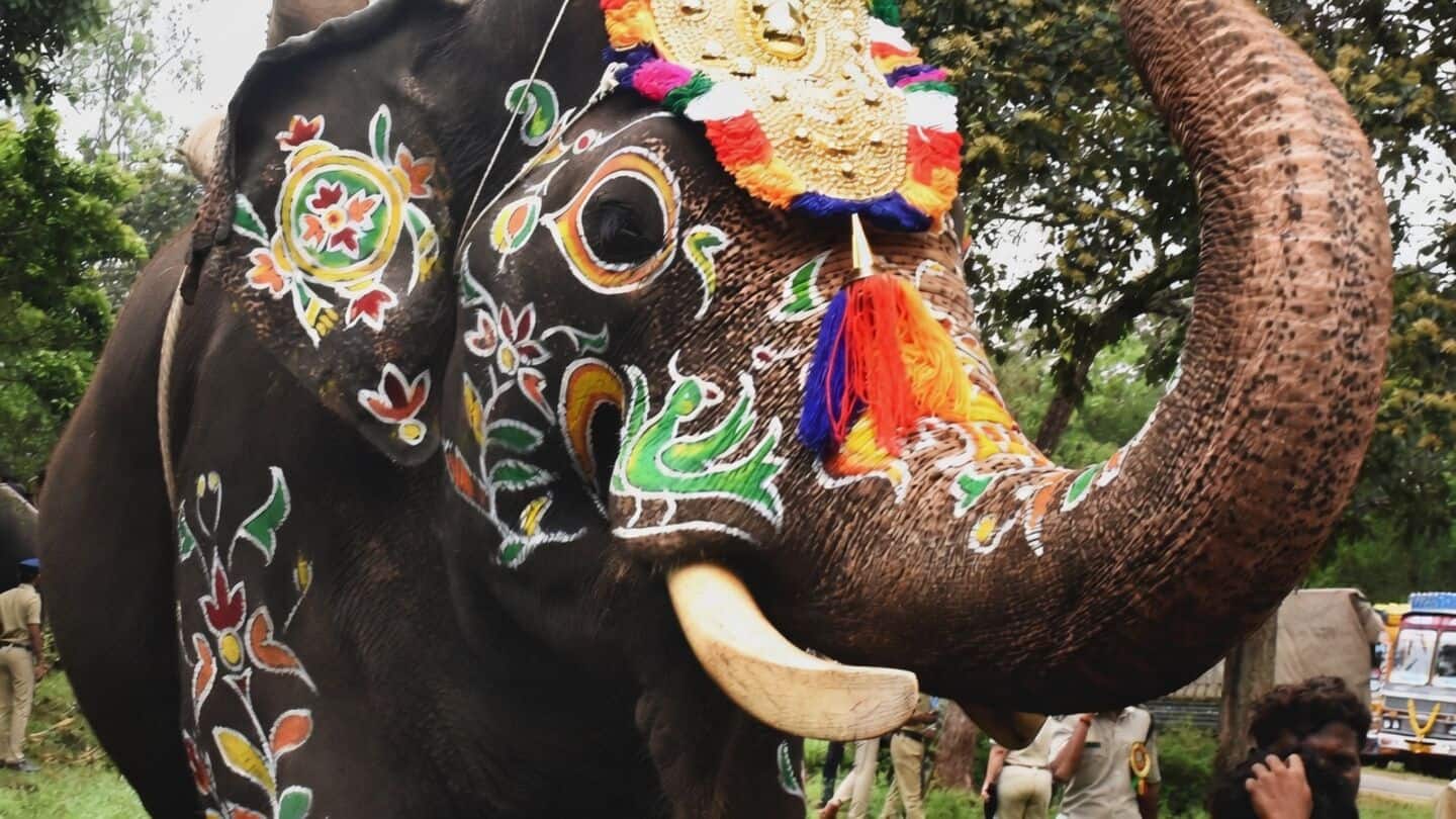 Abhimanyu to appear in final Mysuru Dasara parade after exemption