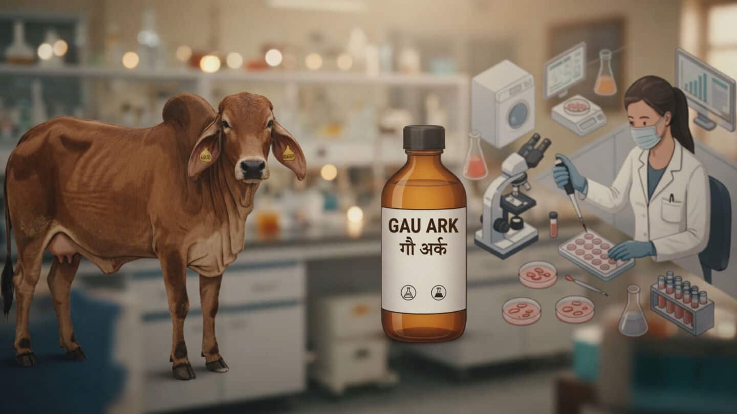 IIT Roorkee claims Gau Mutra Ark cuts chikungunya nearly 99.85%