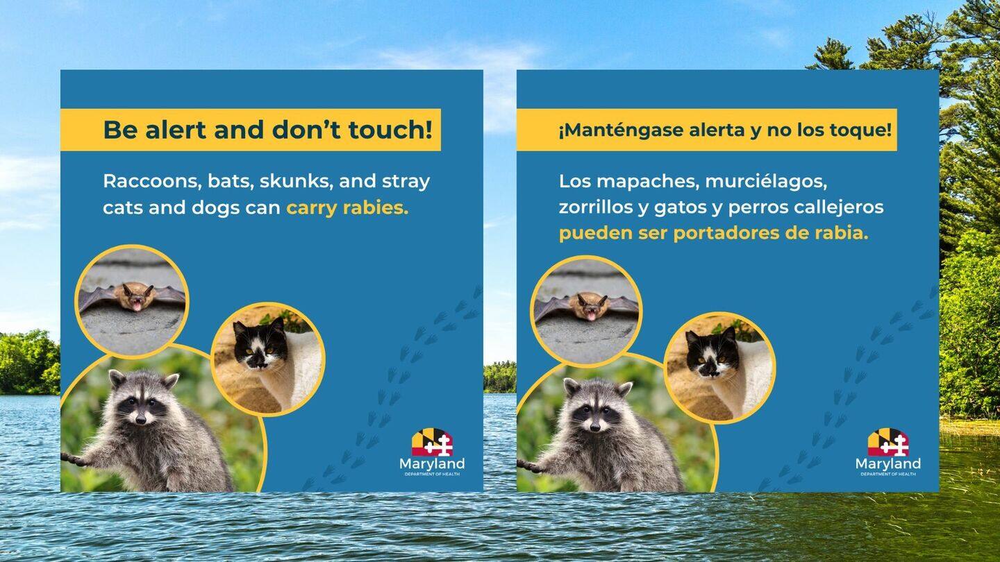 Problem Child Rabies Explainer: Why rabies is a bigger threat to children