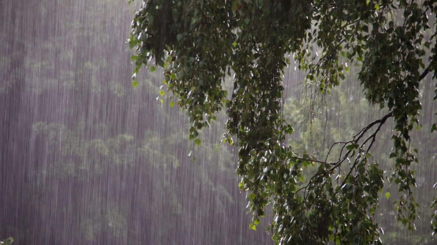 IMD says rain likely to ease across central India Thursday