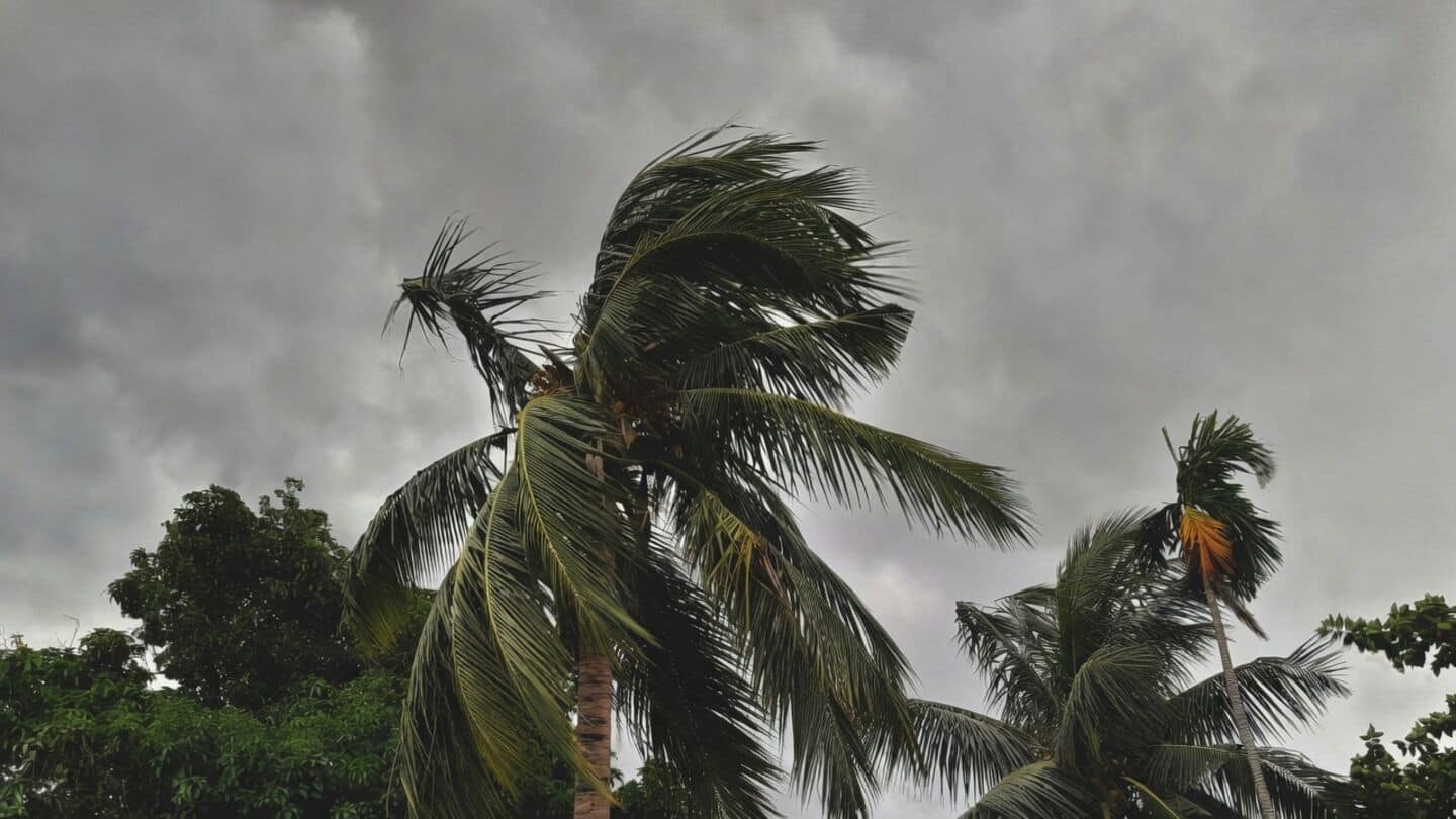 IMD says monsoon advancing toward Delhi-NCR but rain not immediate