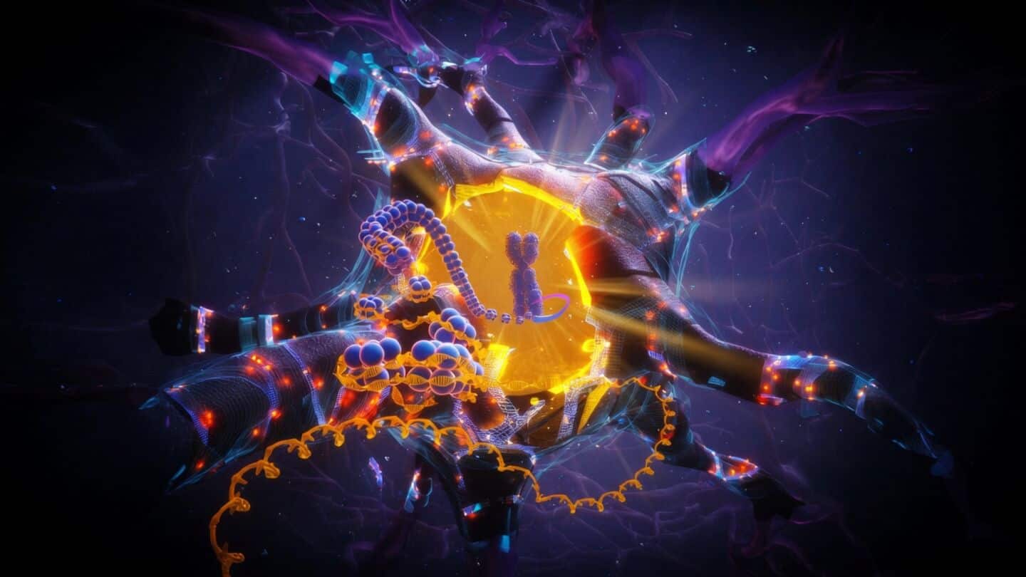 Buck Institute scientists find APOE2 variant helps neurons repair DNA