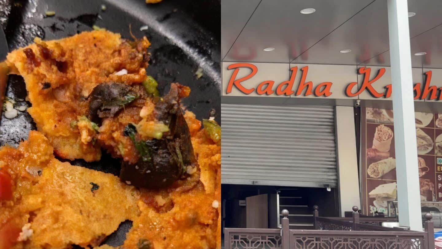 Radhakrishna Hotel rat-in-dosa video prompts extortion probe, 2 arrested