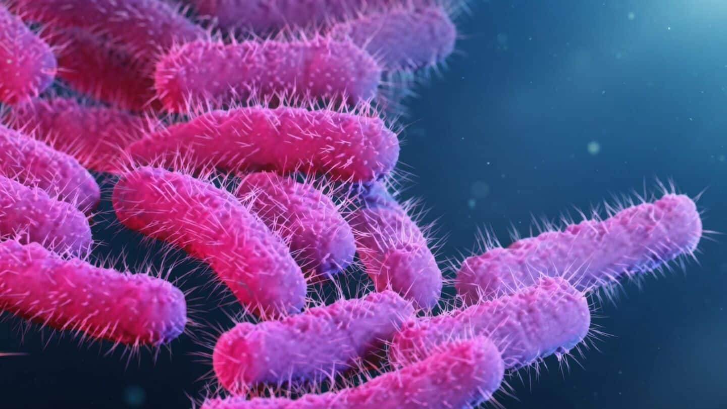 Kerala reports 15 new Shigella cases, 165 this June