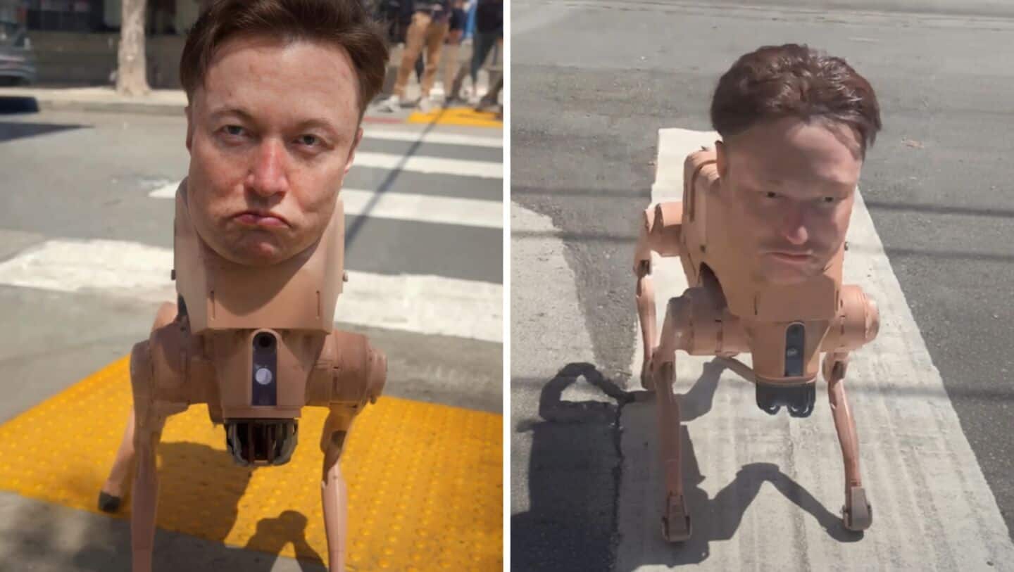Robotic dog with Musk face sparks conversation in San Francisco