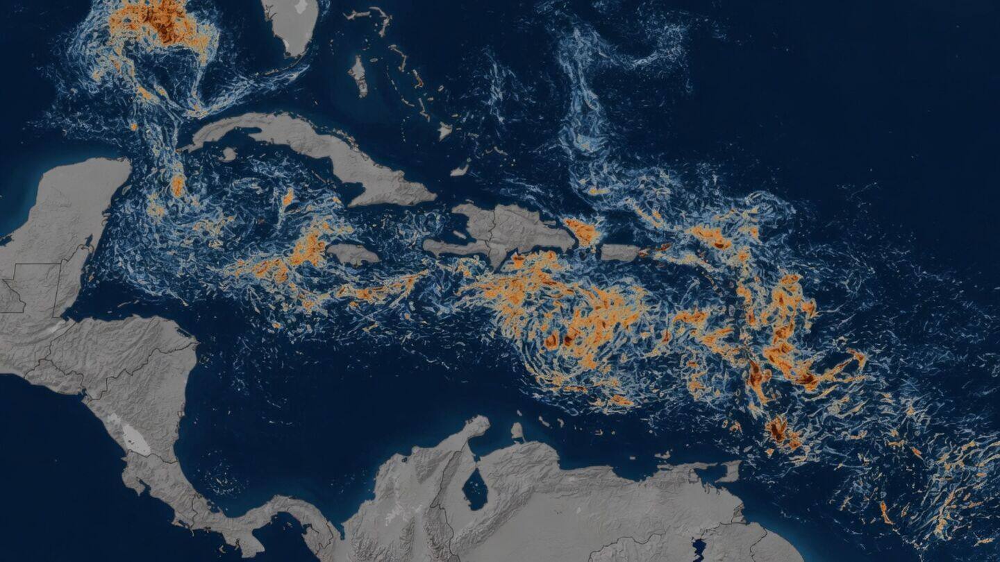 NASA images show 5,500-mile sargassum bloom across Atlantic, 2nd-largest recorded