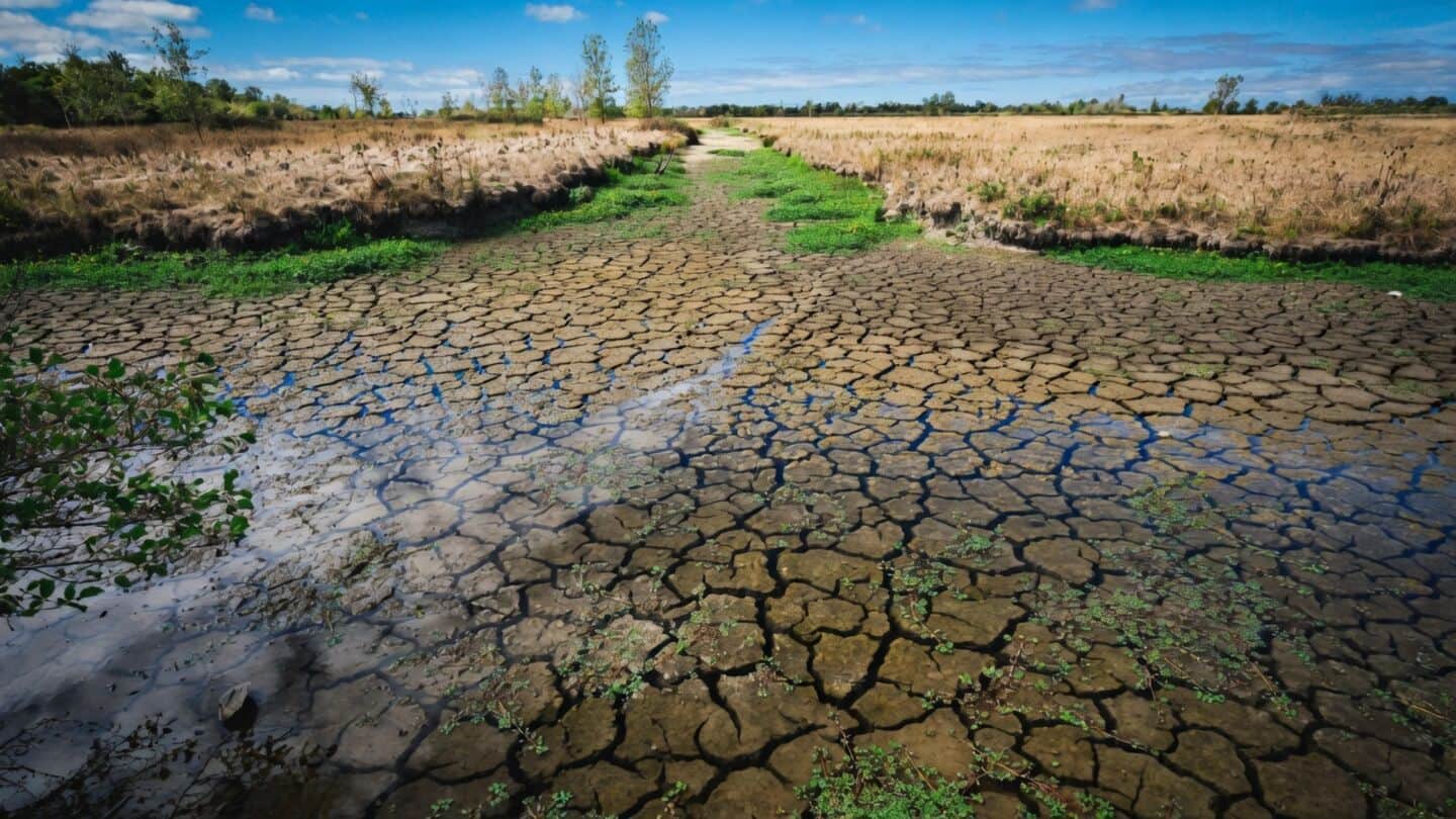 Bhandara farmer Rajendra Sapate allegedly dies by suicide after drought