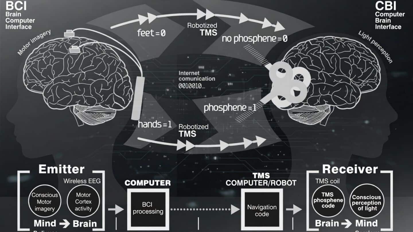 Scientists build BrainNet system using EEG and TMS 81.3% accurate