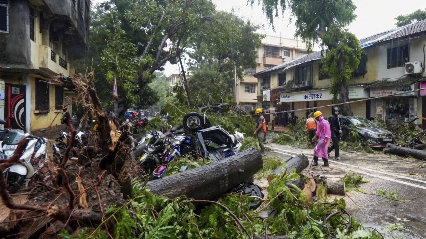 Mumbai storm kills 2, causes 142 tree or branch falls