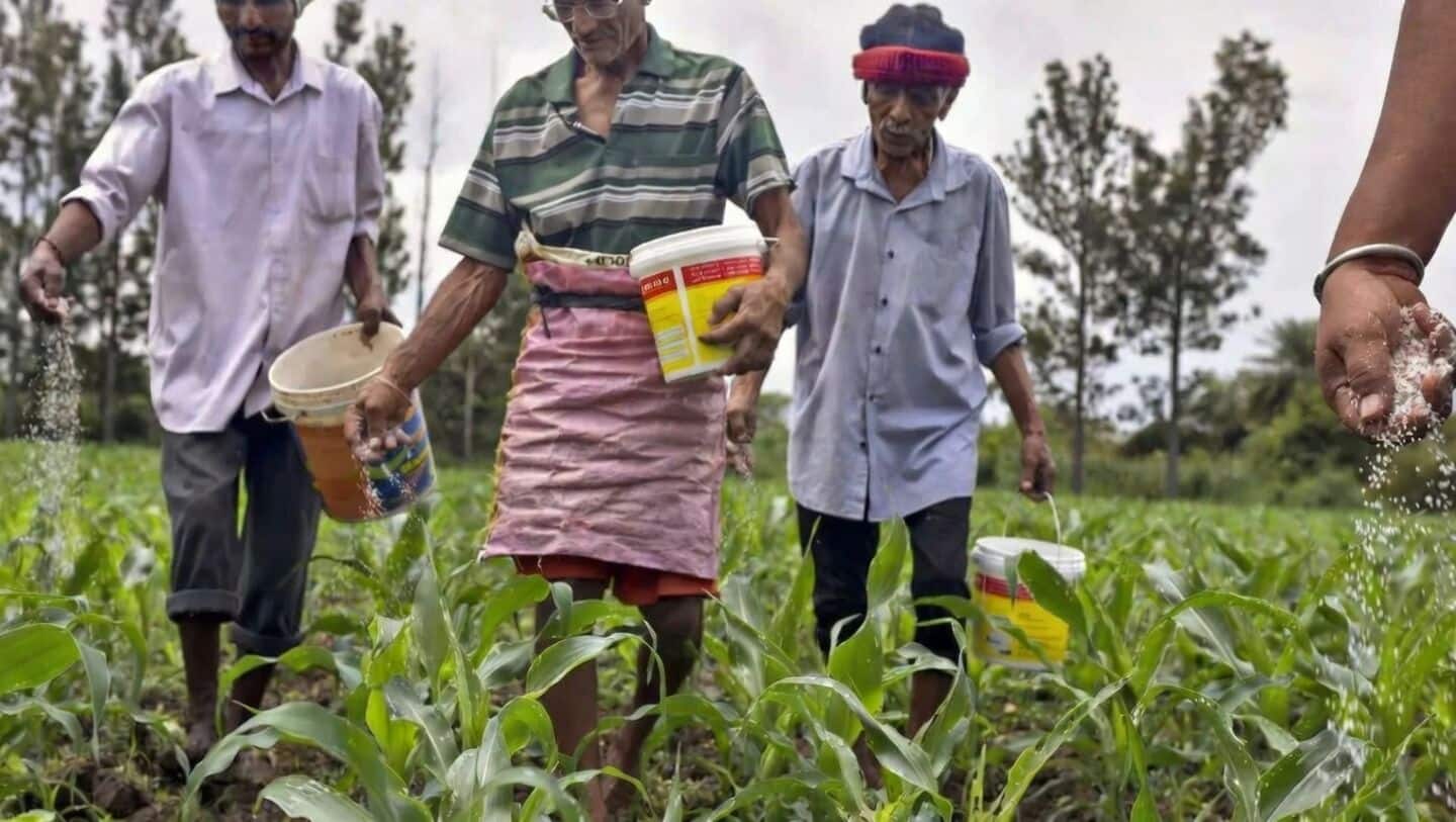 India to import 2.5m tons urea after Middle East conflict