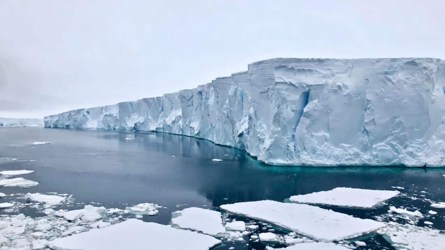 Scientists warn Thwaites Glacier could lose eastern shelf this year