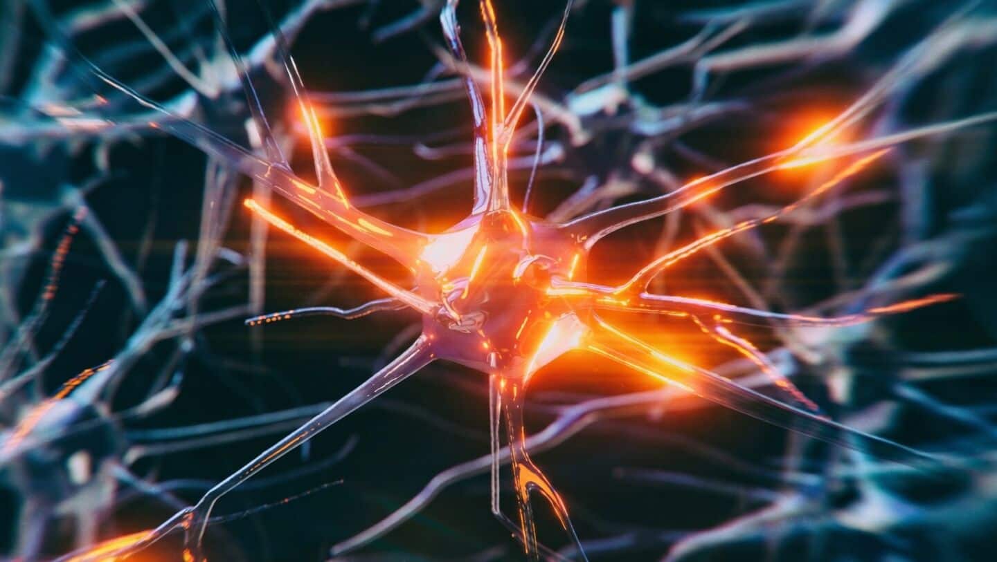 New Zealand study links pTau181 to memory complaints in 45-year-olds
